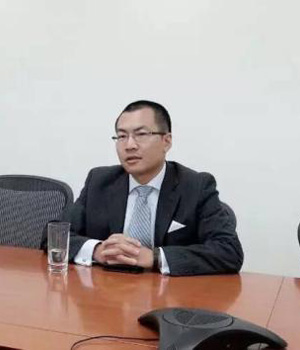 桂佳